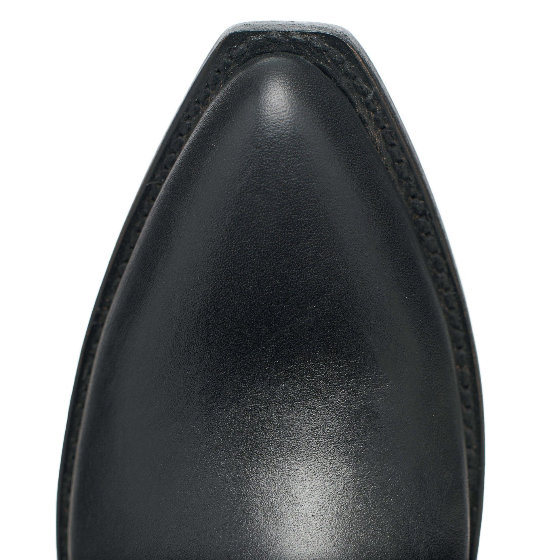 Perry Lane - Pre-Sale - Alvies, Rebelle of the Ball